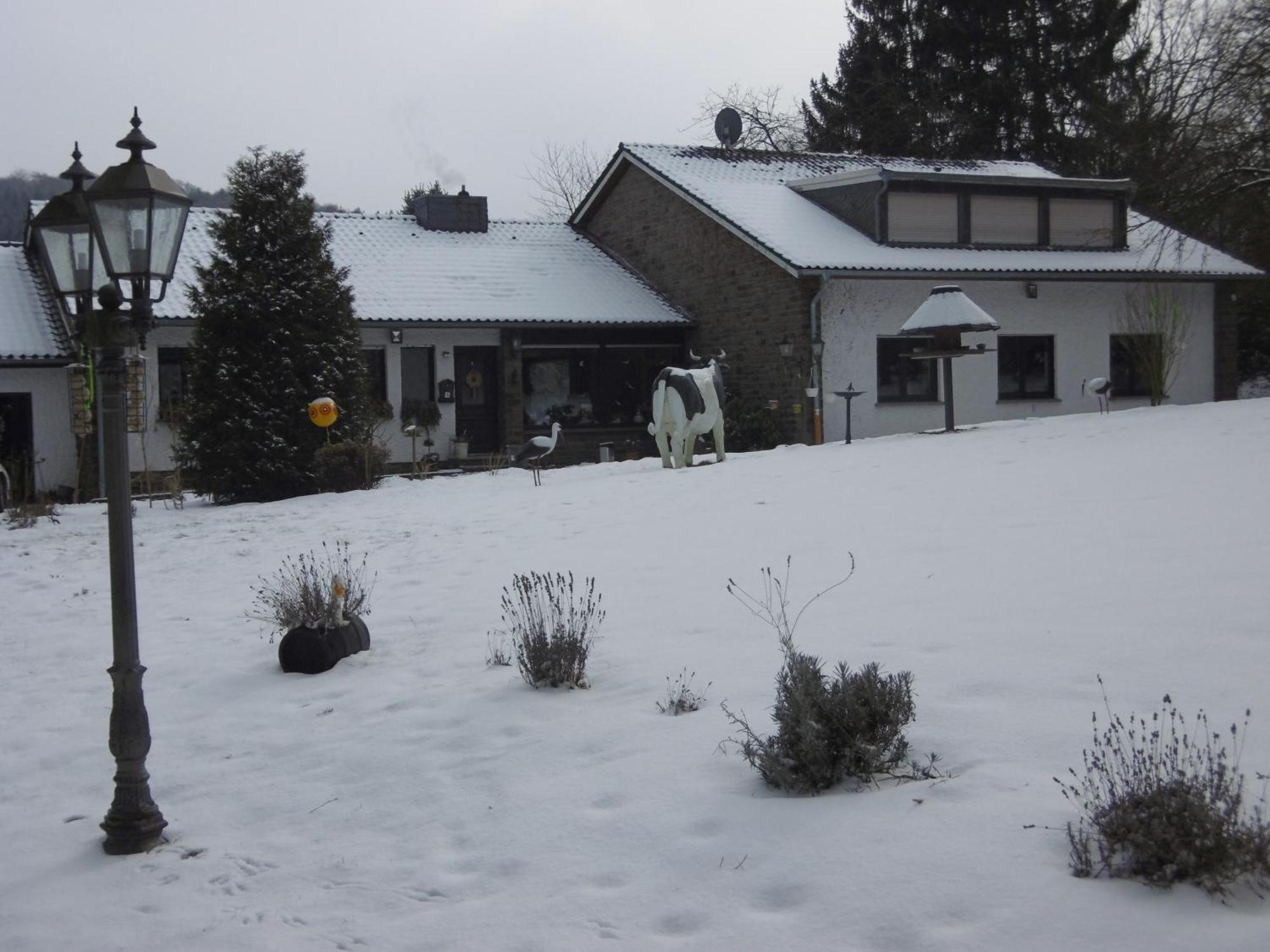 Land Des Friedens In Nettersheim / Eifel Apartment Exterior photo